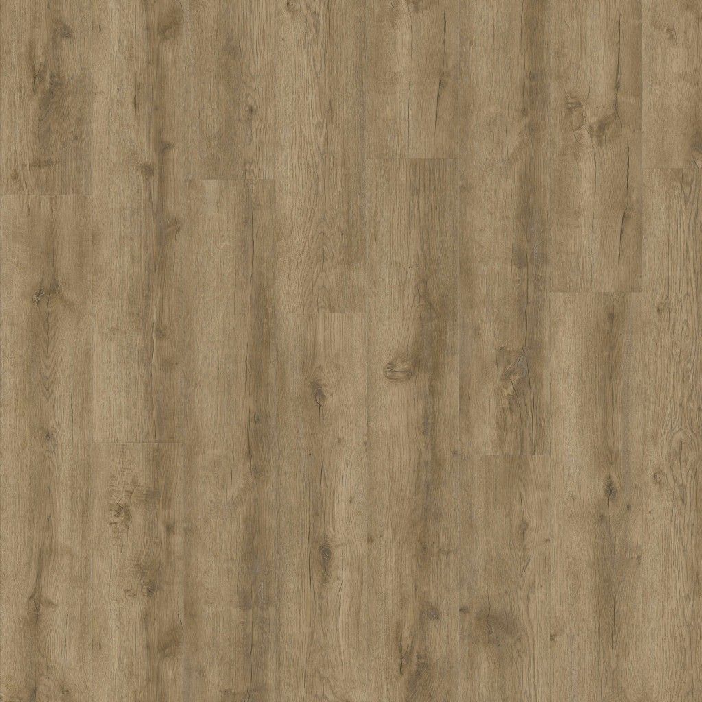 Orla - Arcana Dryback